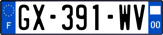 GX-391-WV