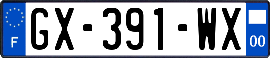 GX-391-WX