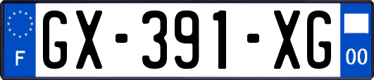 GX-391-XG