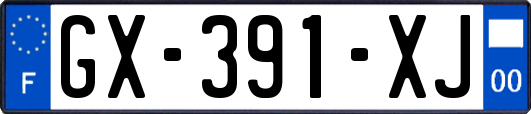 GX-391-XJ