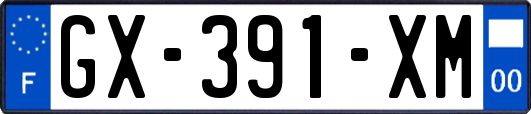 GX-391-XM