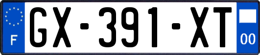 GX-391-XT