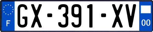 GX-391-XV
