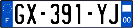 GX-391-YJ