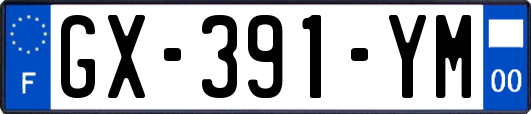 GX-391-YM