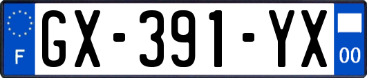 GX-391-YX
