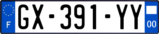 GX-391-YY