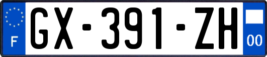 GX-391-ZH