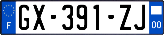 GX-391-ZJ