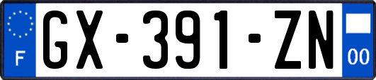 GX-391-ZN