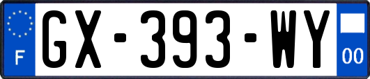 GX-393-WY