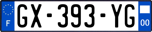 GX-393-YG