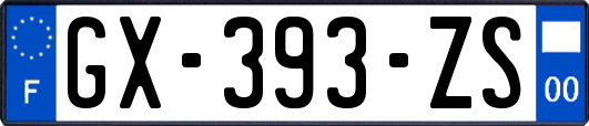 GX-393-ZS