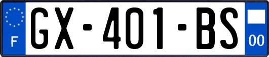 GX-401-BS