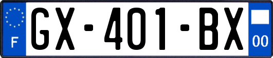 GX-401-BX