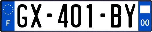 GX-401-BY