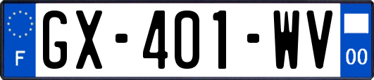 GX-401-WV
