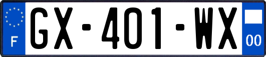 GX-401-WX