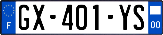 GX-401-YS