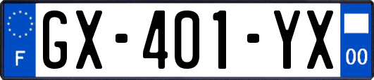 GX-401-YX