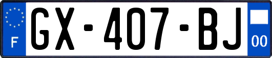 GX-407-BJ