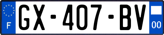 GX-407-BV