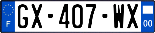 GX-407-WX