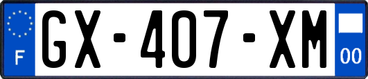 GX-407-XM