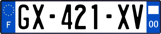 GX-421-XV
