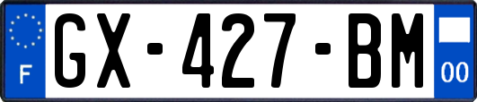 GX-427-BM