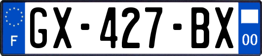 GX-427-BX