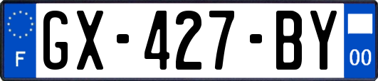 GX-427-BY