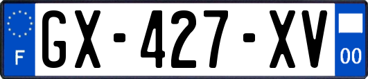 GX-427-XV
