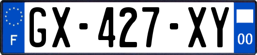 GX-427-XY