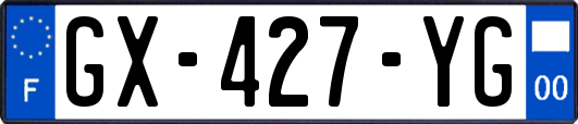 GX-427-YG