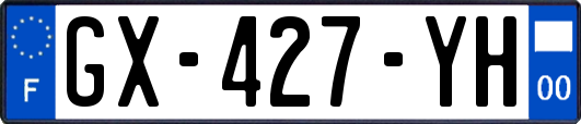 GX-427-YH