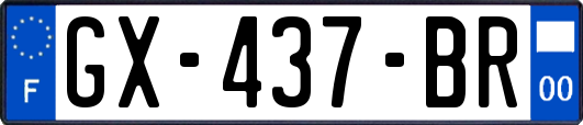 GX-437-BR