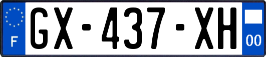 GX-437-XH