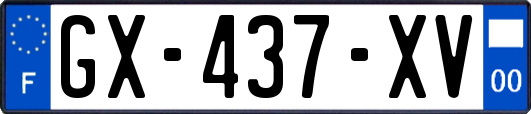GX-437-XV
