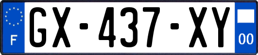 GX-437-XY
