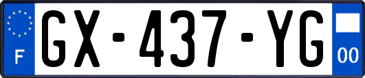 GX-437-YG