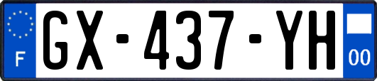 GX-437-YH