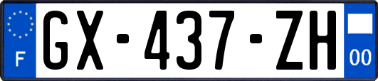 GX-437-ZH