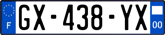 GX-438-YX