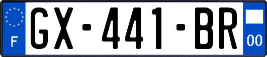 GX-441-BR