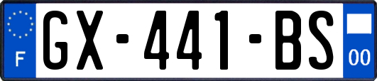 GX-441-BS