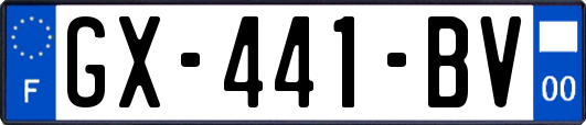GX-441-BV
