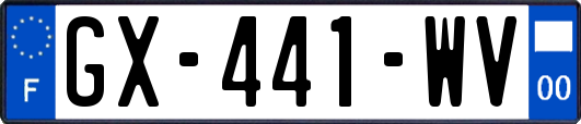 GX-441-WV