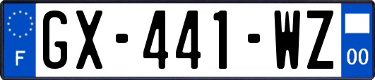 GX-441-WZ
