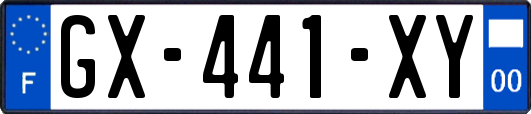 GX-441-XY